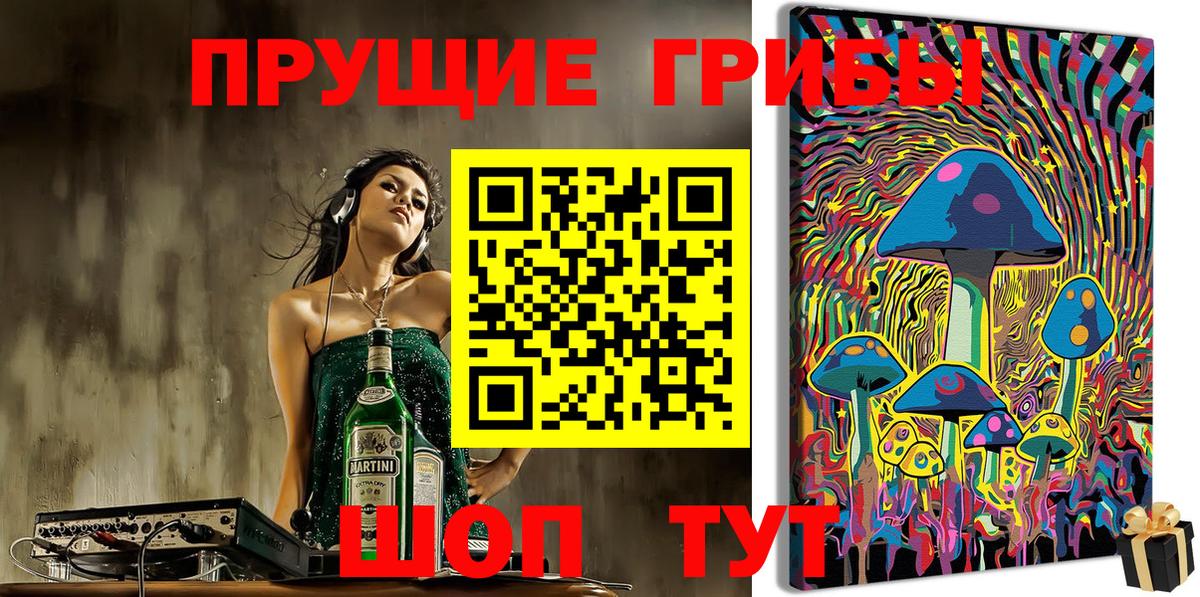 Псилоцибиновые грибы Psilocybe Шумерля